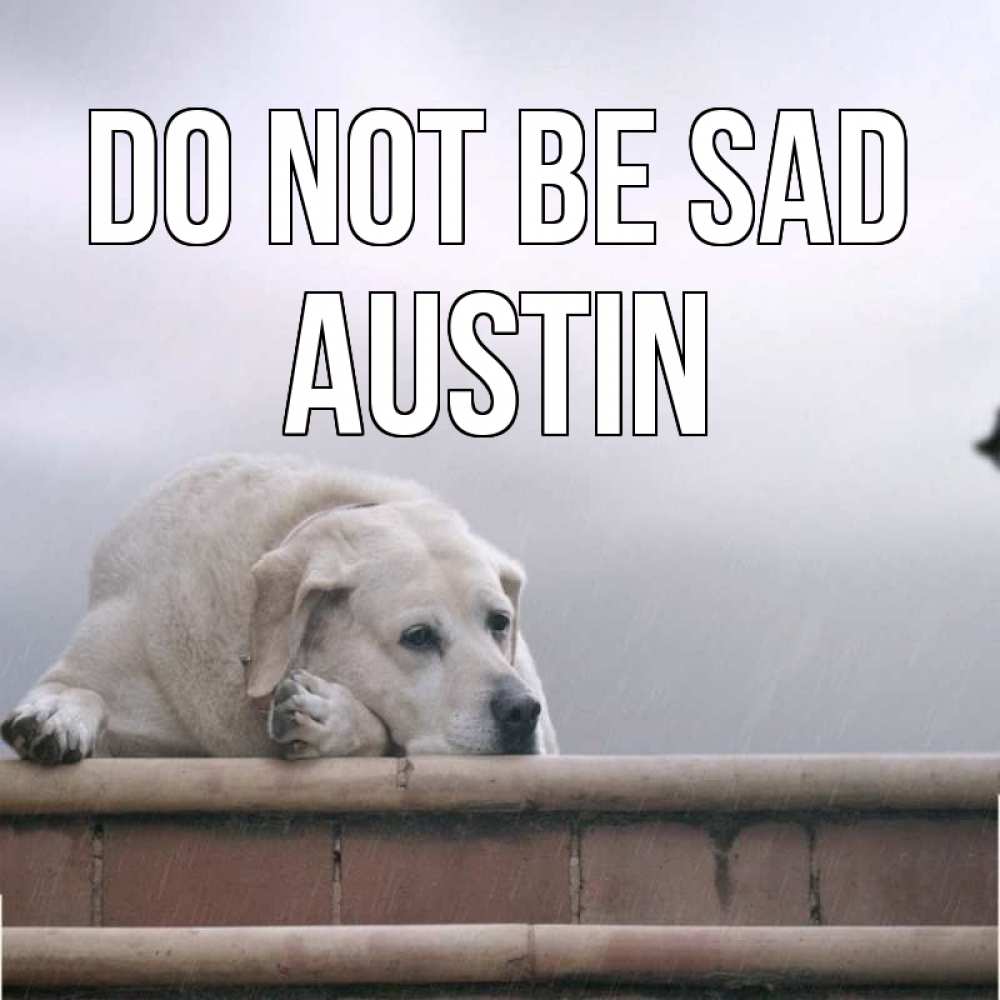 Greetings card с именем, Austin Do not be sad белый пес 1 Greetings with text for free download 