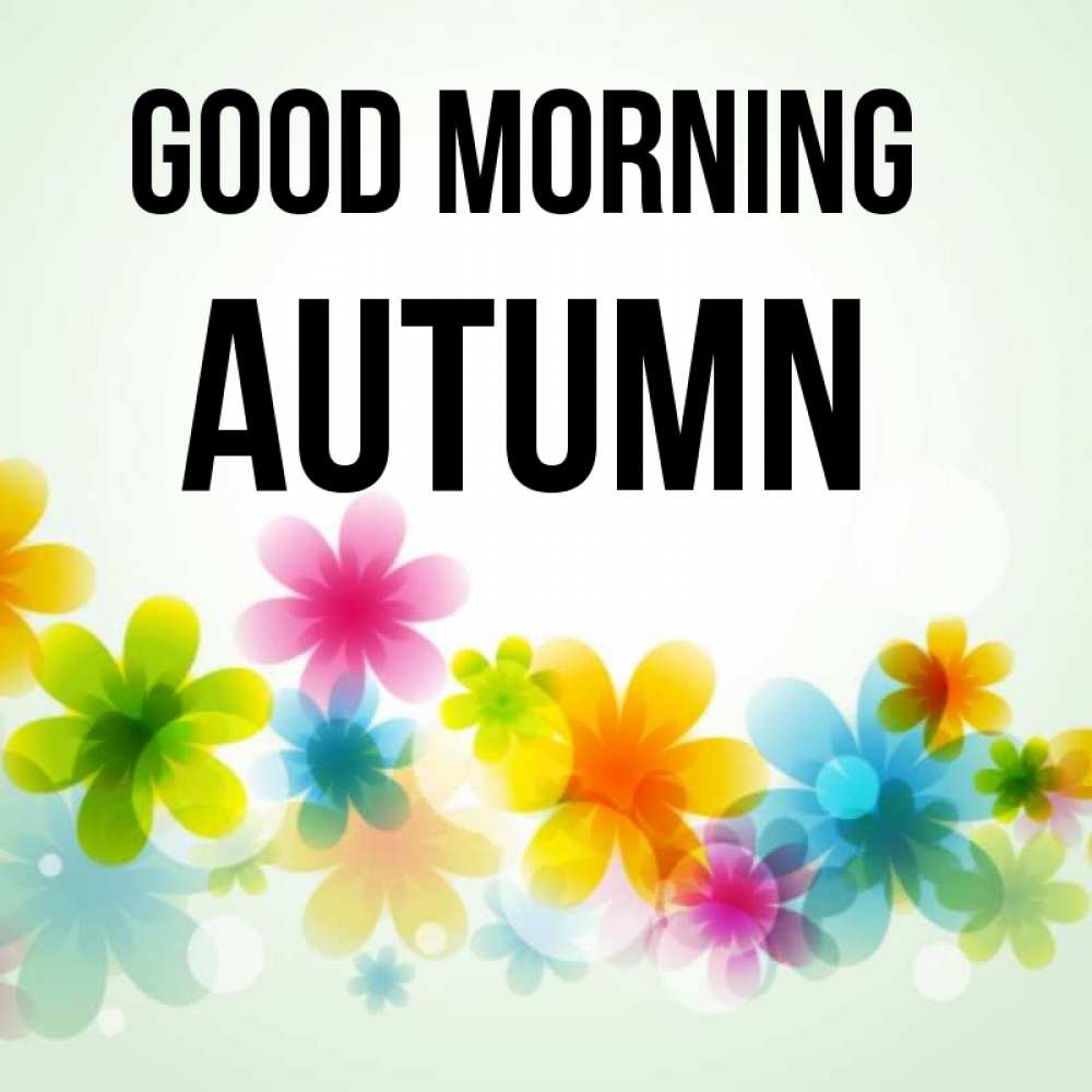 Greetings card с именем, Autumn Good morning позитивные цветочки Greetings with text for free download 