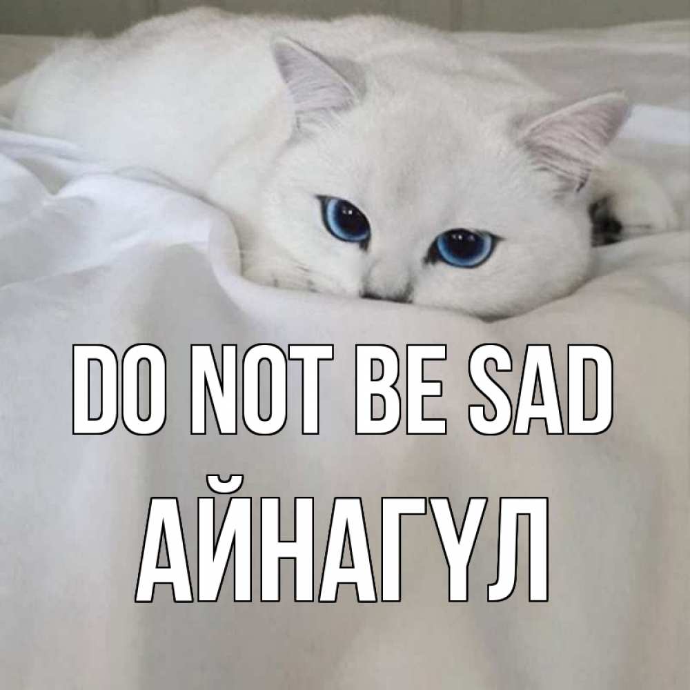 Greetings card с именем, АЙНАГҮЛ Do not be sad белый кот с голубыми глазами на белоснежной кровати Greetings with text for free download 