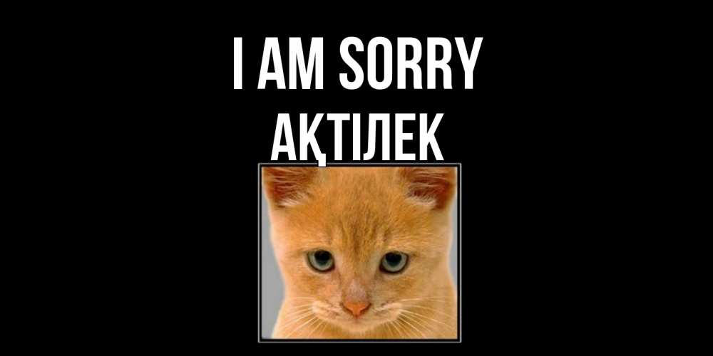 Greetings card с именем, Ақтілек I am sorry рыжий грустный кот просит прощения Greetings with text for free download 