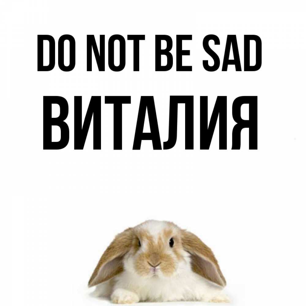 Greetings card с именем, Виталия Do not be sad коричнево белый заяц с большими ушками Greetings with text for free download 