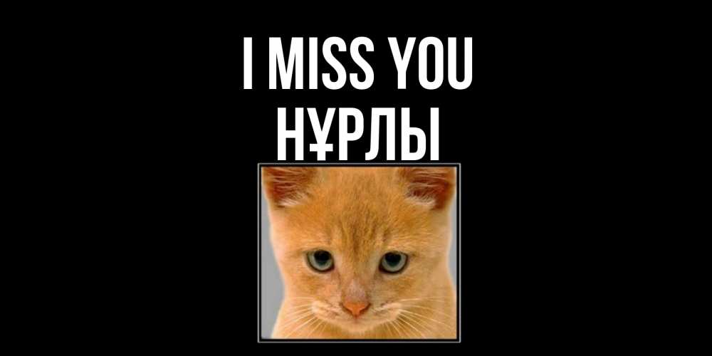 Greetings card с именем, НҰРЛЫ I miss you открытки рыжий котенок скучает по тебе Greetings with text for free download 