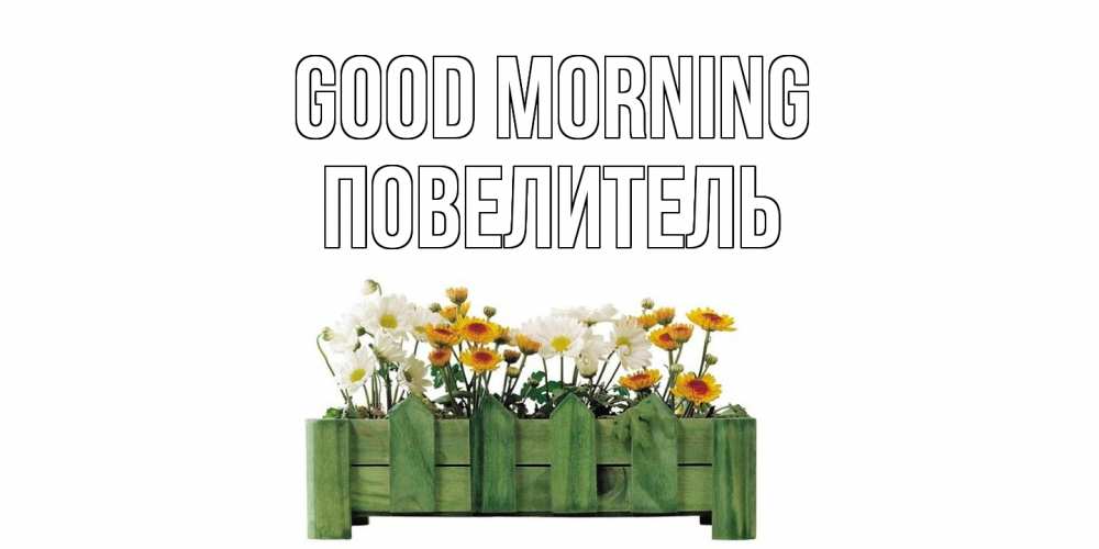 Greetings card с именем, Повелитель Good morning цветы Greetings with text for free download 