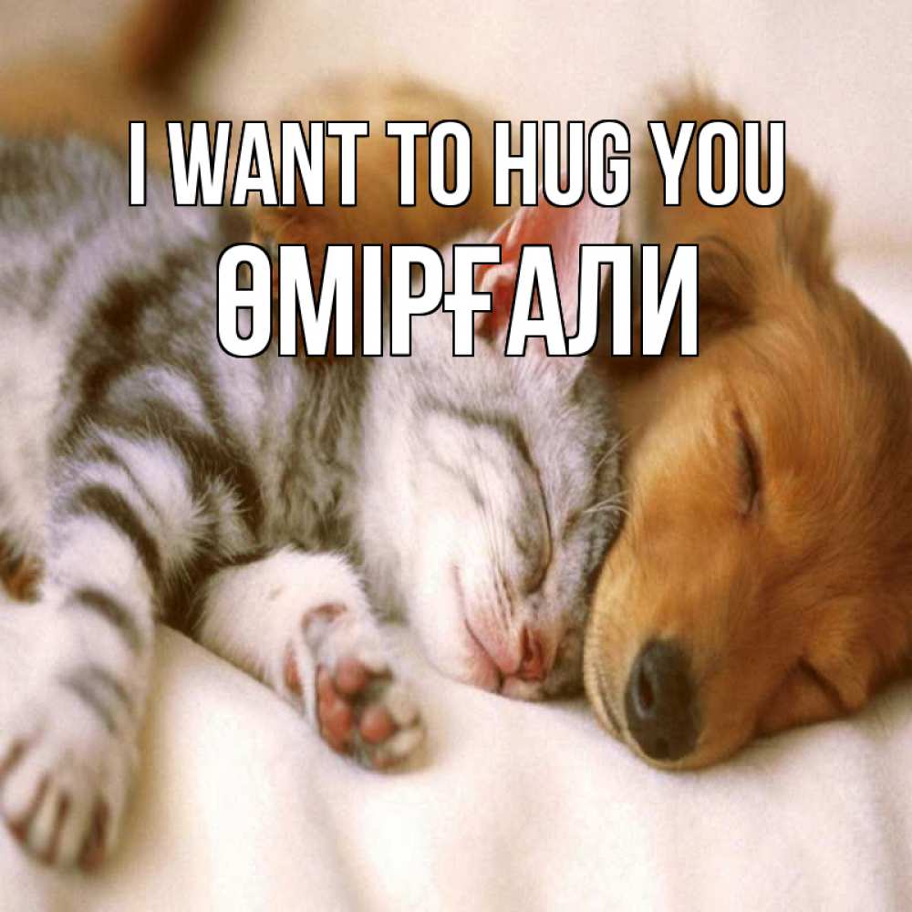 Greetings card с именем, ӨМІРҒАЛИ I want to hug you пес и котенок Greetings with text for free download 