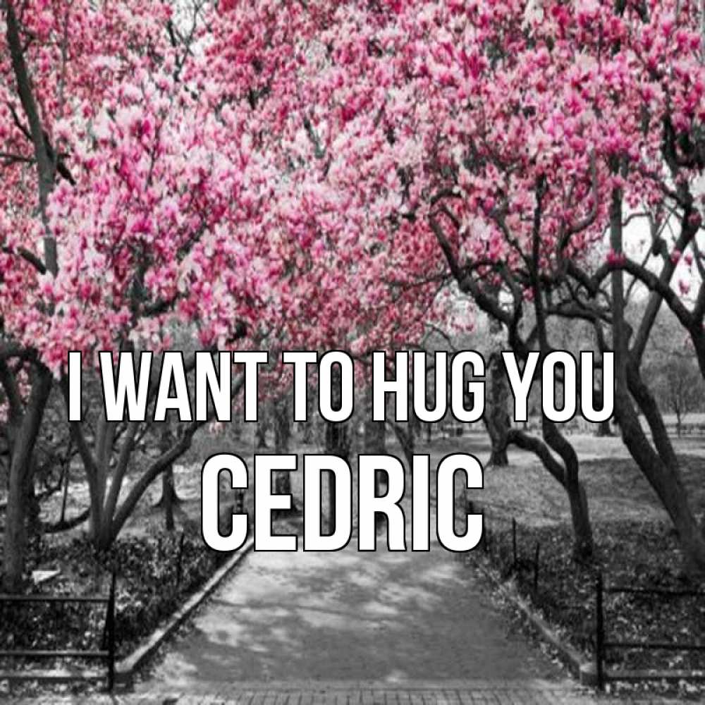 Greetings card с именем, Cedric I want to hug you обработанное фото Greetings with text for free download 
