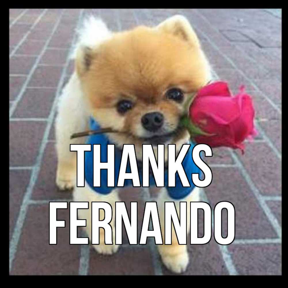 Greetings card с именем, Fernando Thanks спасибо и дарю тебе цветок Greetings with text for free download 