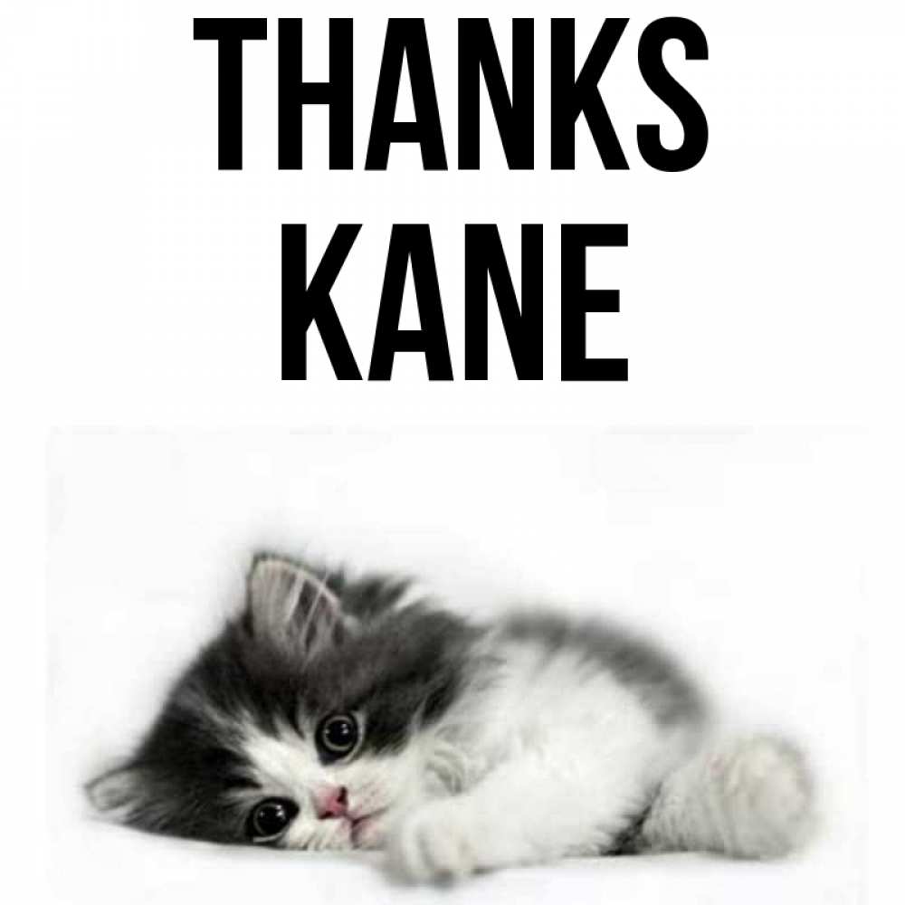 Greetings card с именем, Kane Thanks черный и белый кот Greetings with text for free download 