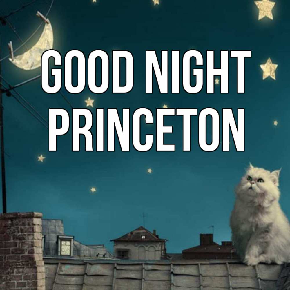 Greetings card с именем, Princeton Good night белый кот сидит на крыше Greetings with text for free download 
