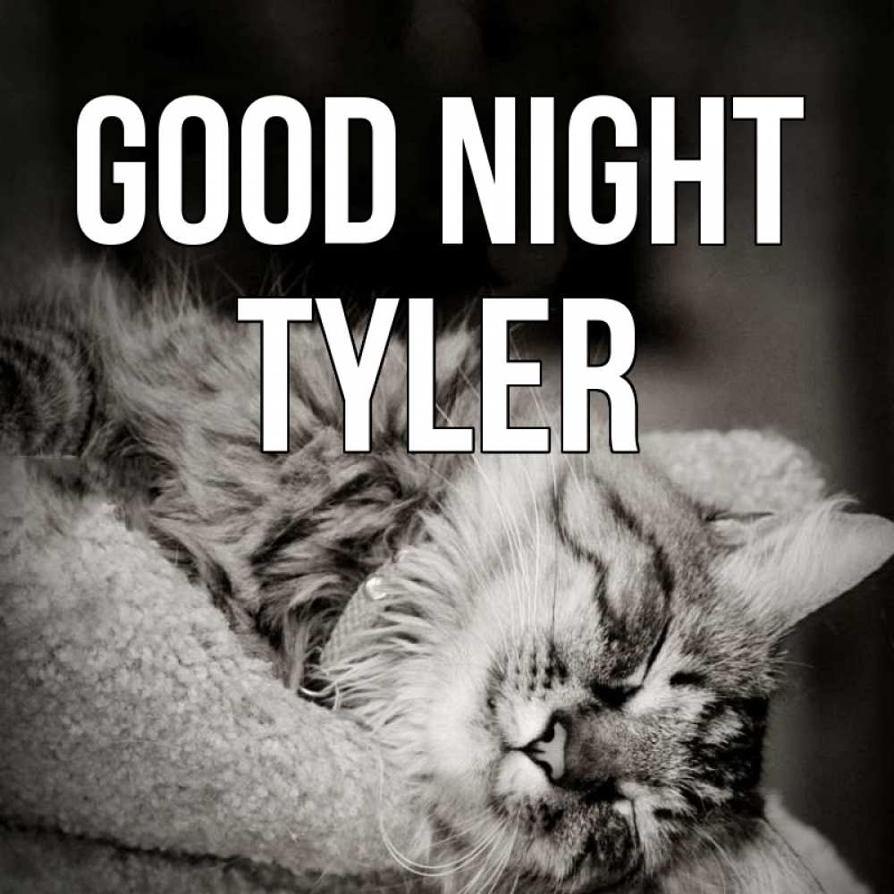 Greetings card с именем, Tyler Good night котярик пушистый Greetings with text for free download 