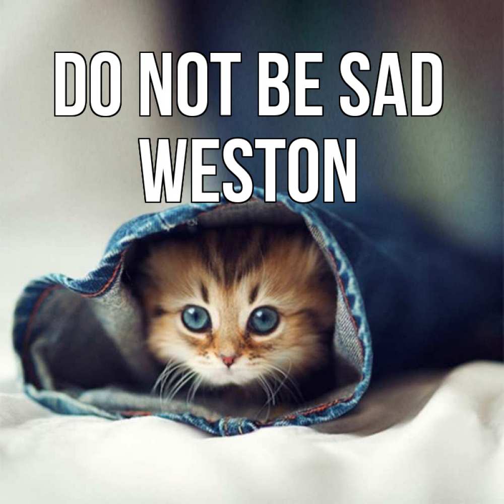 Greetings card с именем, Weston Do not be sad кот в одежде Greetings with text for free download 