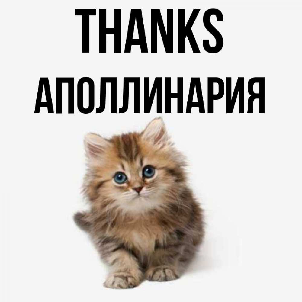 Greetings card с именем, Аполлинария Thanks пушистый котик Greetings with text for free download 