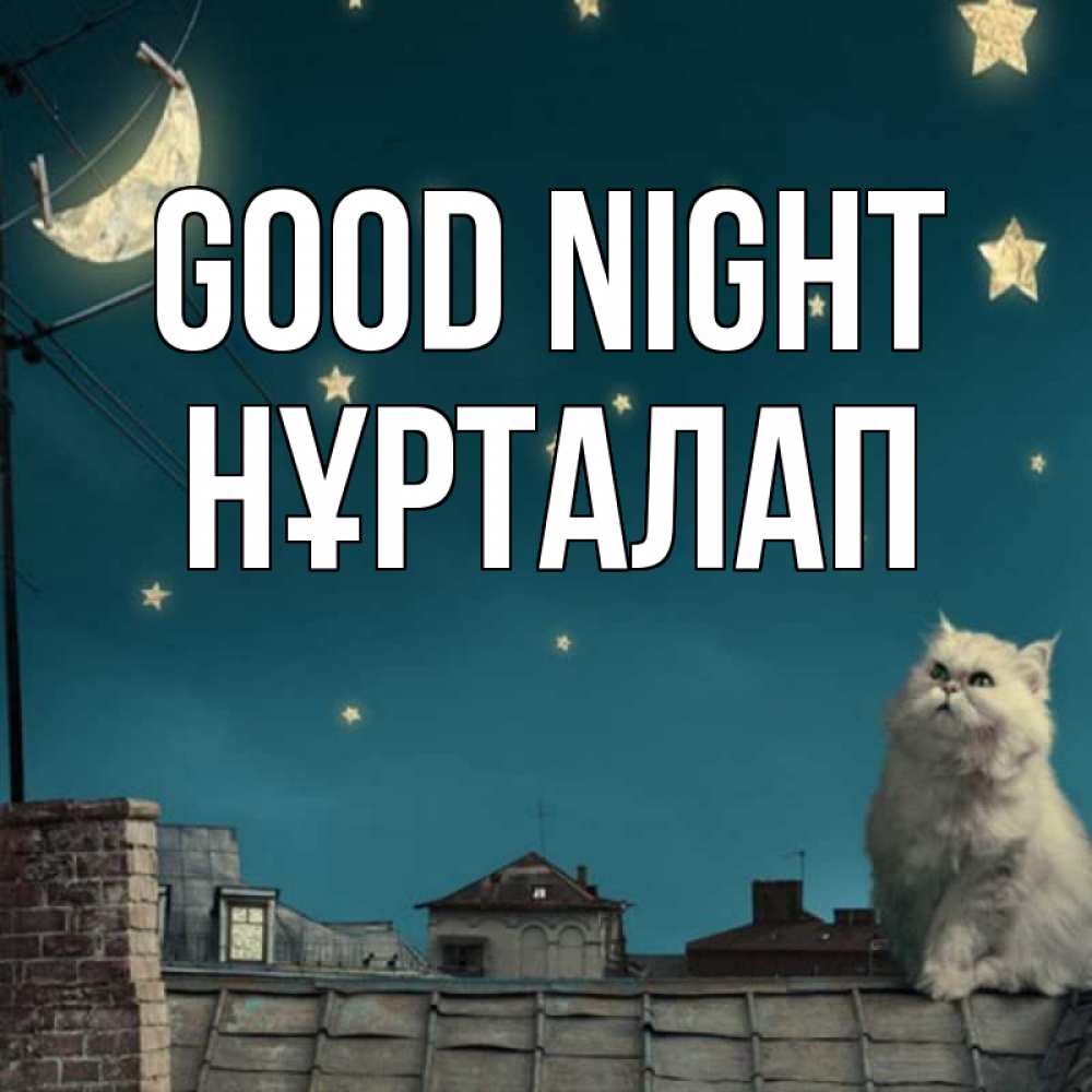 Greetings card с именем, НҰРТАЛАП Good night белый кот сидит на крыше Greetings with text for free download 