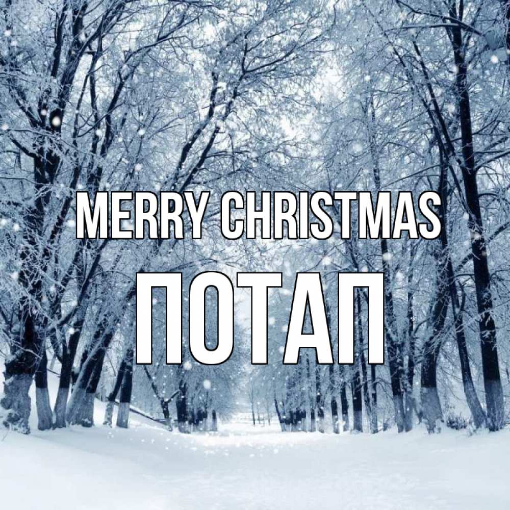Greetings card с именем, Потап Merry Christmas снег, лес, парк Greetings with text for free download 