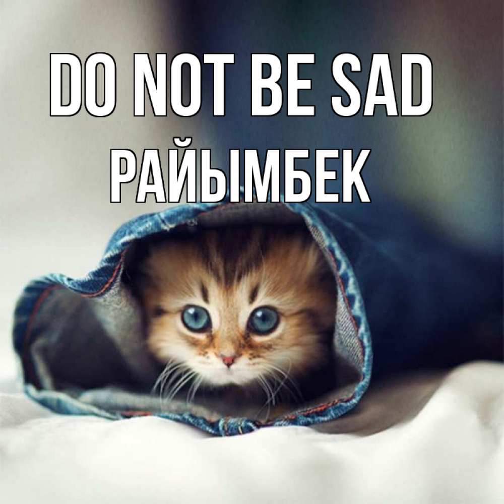 Greetings card с именем, РАЙЫМБЕК Do not be sad рыжик котик Greetings with text for free download 