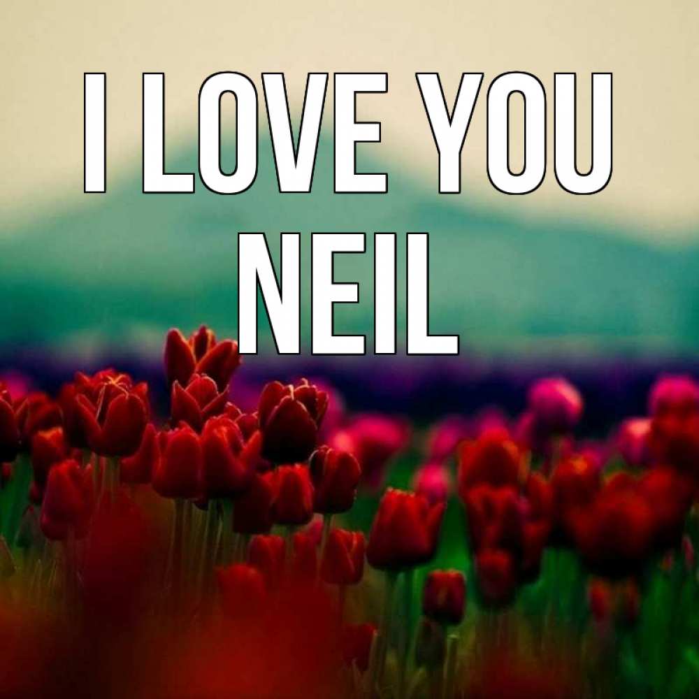 Greetings card с именем, Neil I love you тюльпаны 4 Greetings with text for free download 