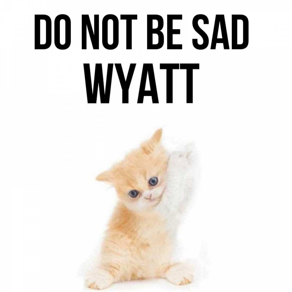 Greetings card с именем, Wyatt Do not be sad просящий кот Greetings with text for free download 