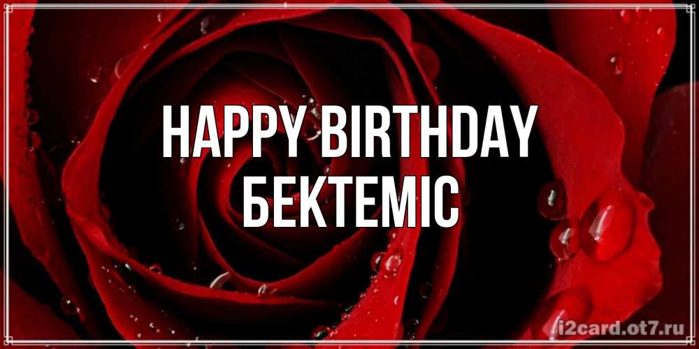 Greetings card с именем, Бектеміс Happy Birthday крупная бордовая роза Greetings with text for free download 