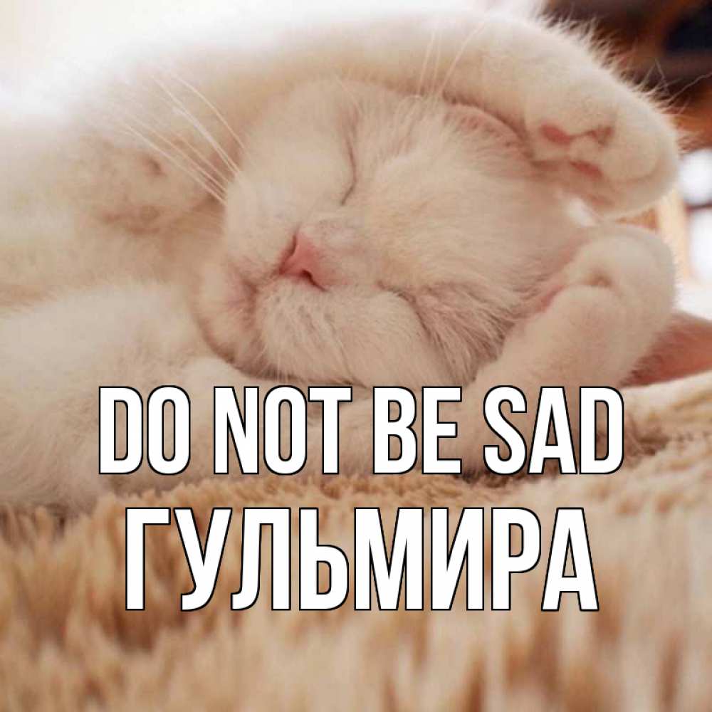 Greetings card с именем, Гульмира Do not be sad белый кот Greetings with text for free download 