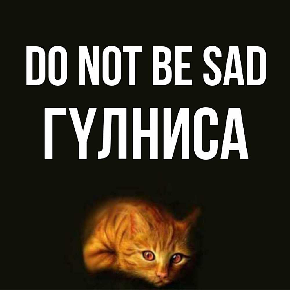 Greetings card с именем, ГҮЛНИСА Do not be sad лежащий кот в темноте Greetings with text for free download 