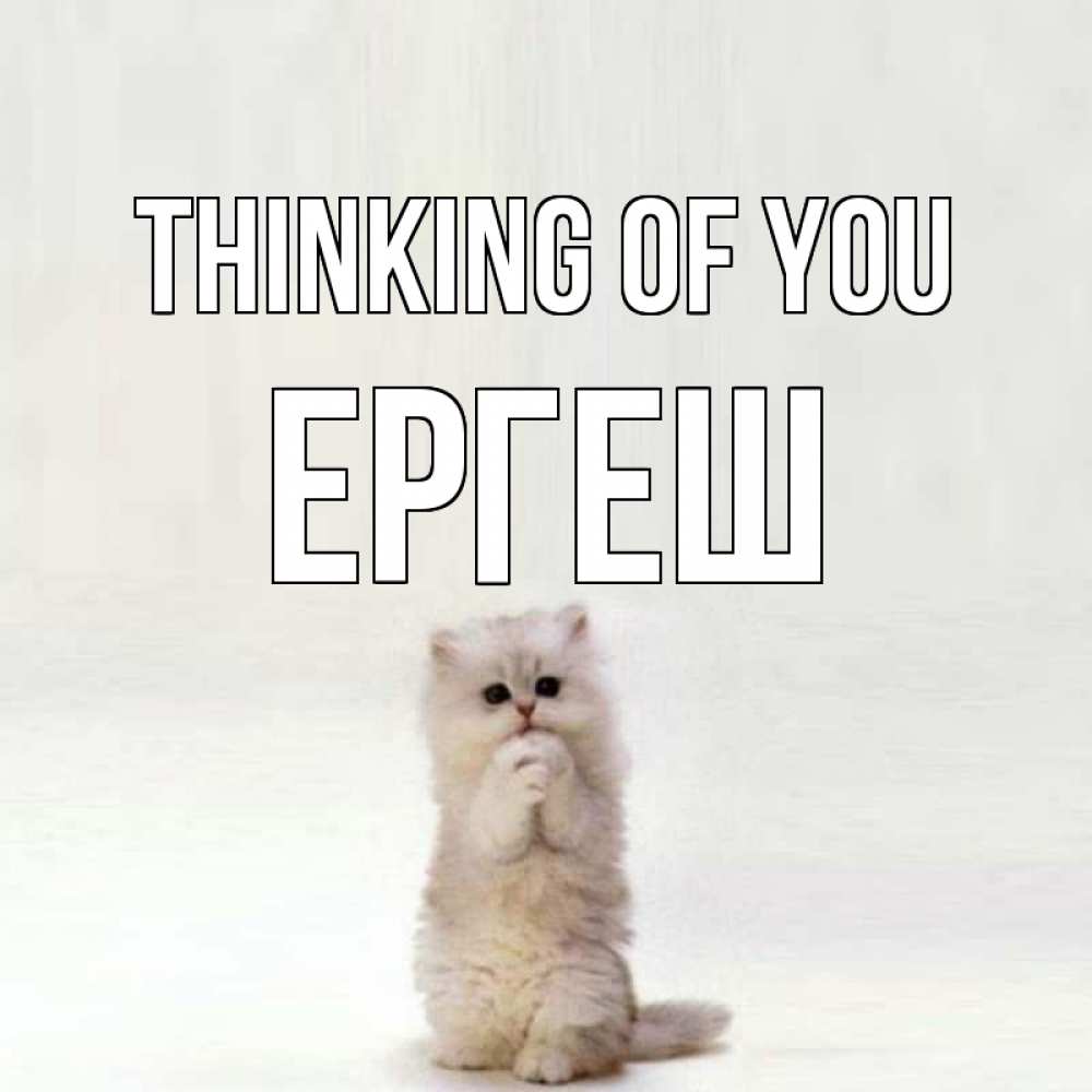 Greetings card с именем, Ергеш Thinking of you кот стоит на задних лапах Greetings with text for free download 