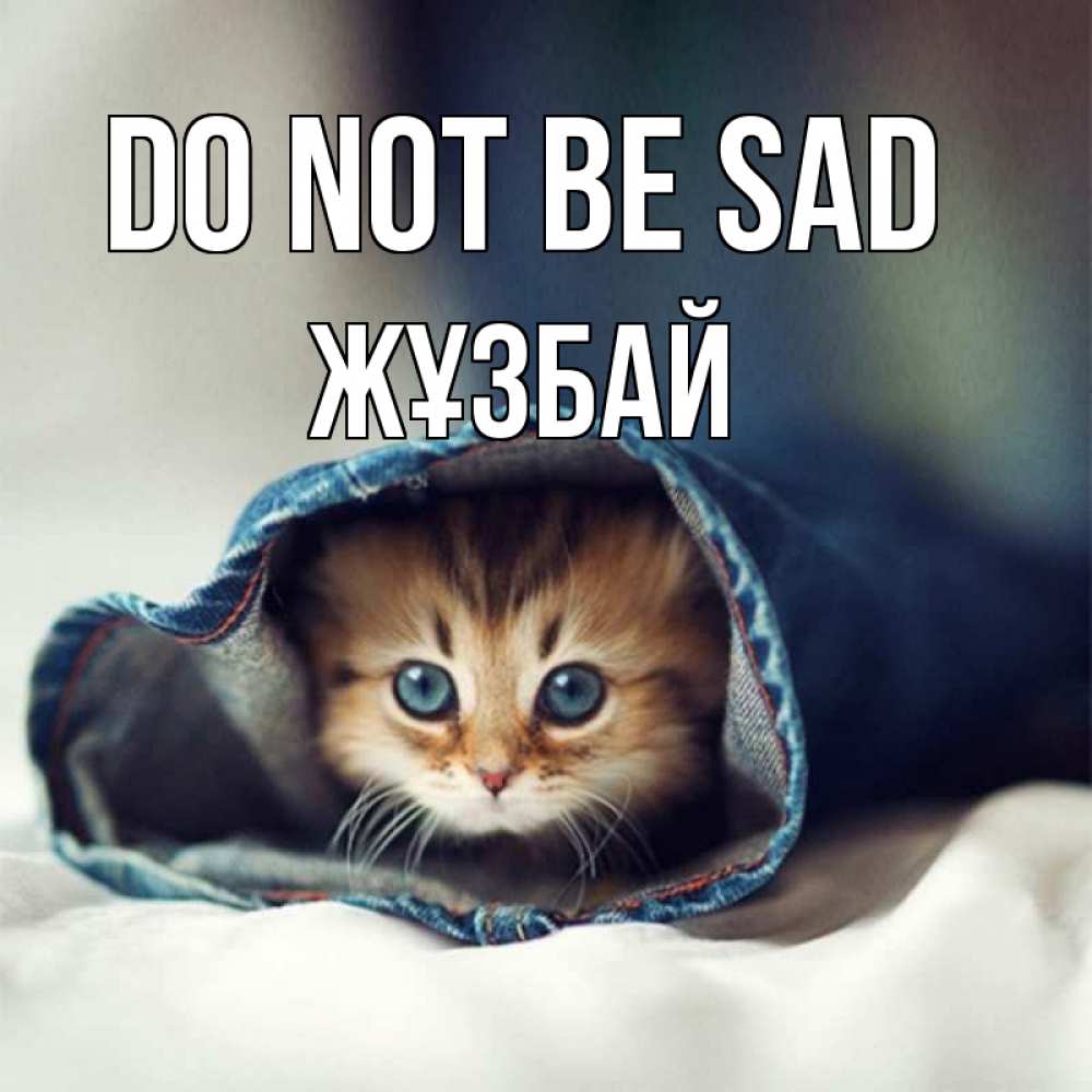 Greetings card с именем, Жұзбай Do not be sad рыжик котик Greetings with text for free download 