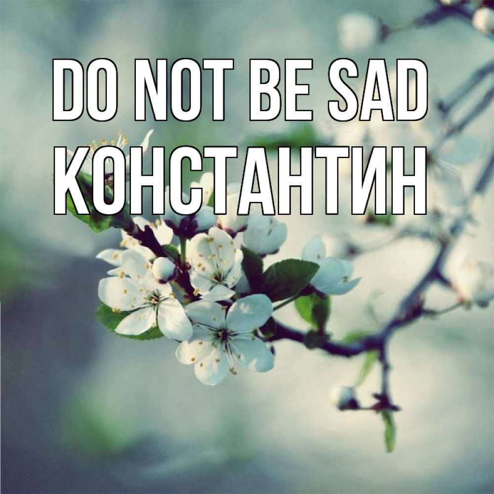 Greetings card с именем, Константин Do not be sad яблоня в цвету 1 Greetings with text for free download 