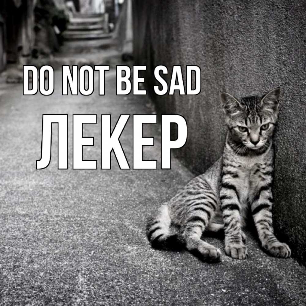 Greetings card с именем, ЛЕКЕР Do not be sad скучающий котик Greetings with text for free download 