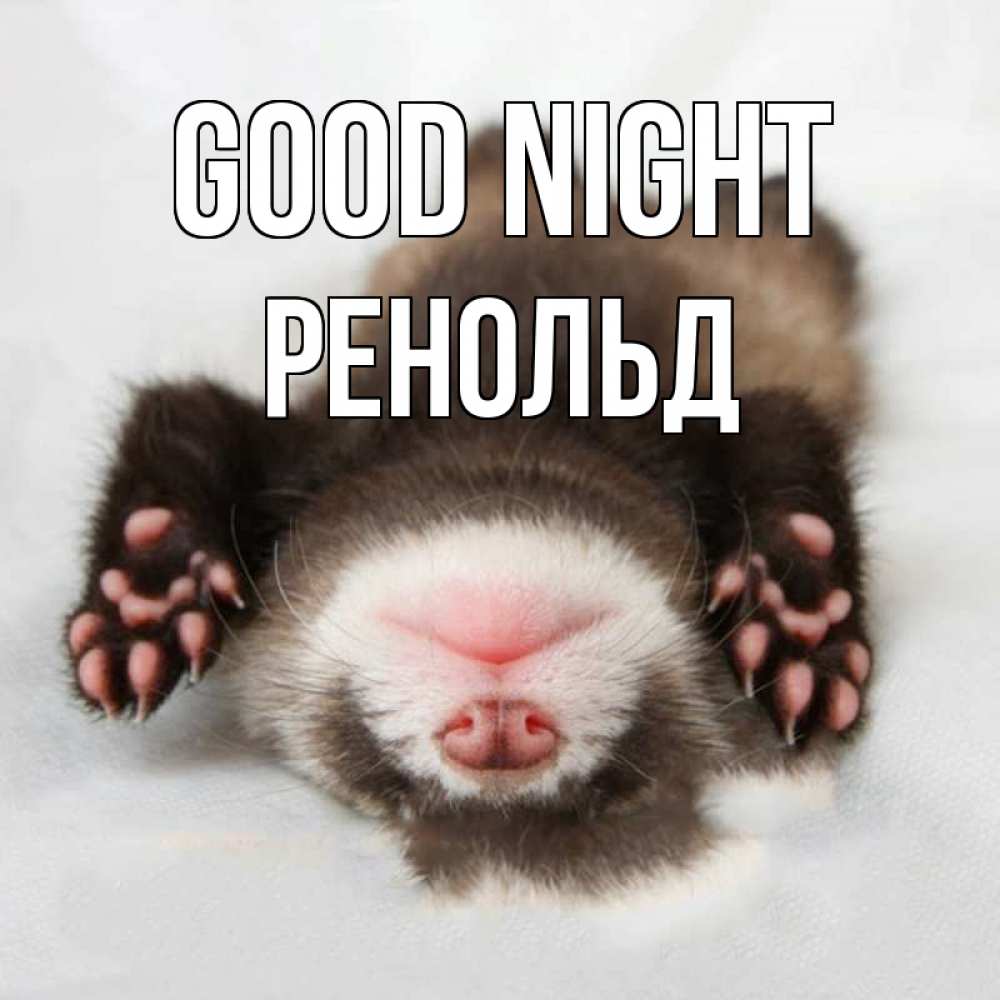 Greetings card с именем, Ренольд Good night зверек Greetings with text for free download 
