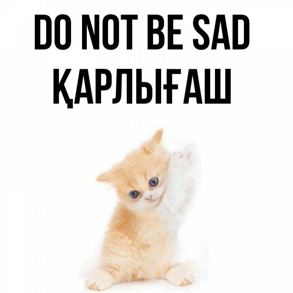 Greetings card с именем, ҚАРЛЫҒАШ Do not be sad просящий кот Greetings with text for free download 