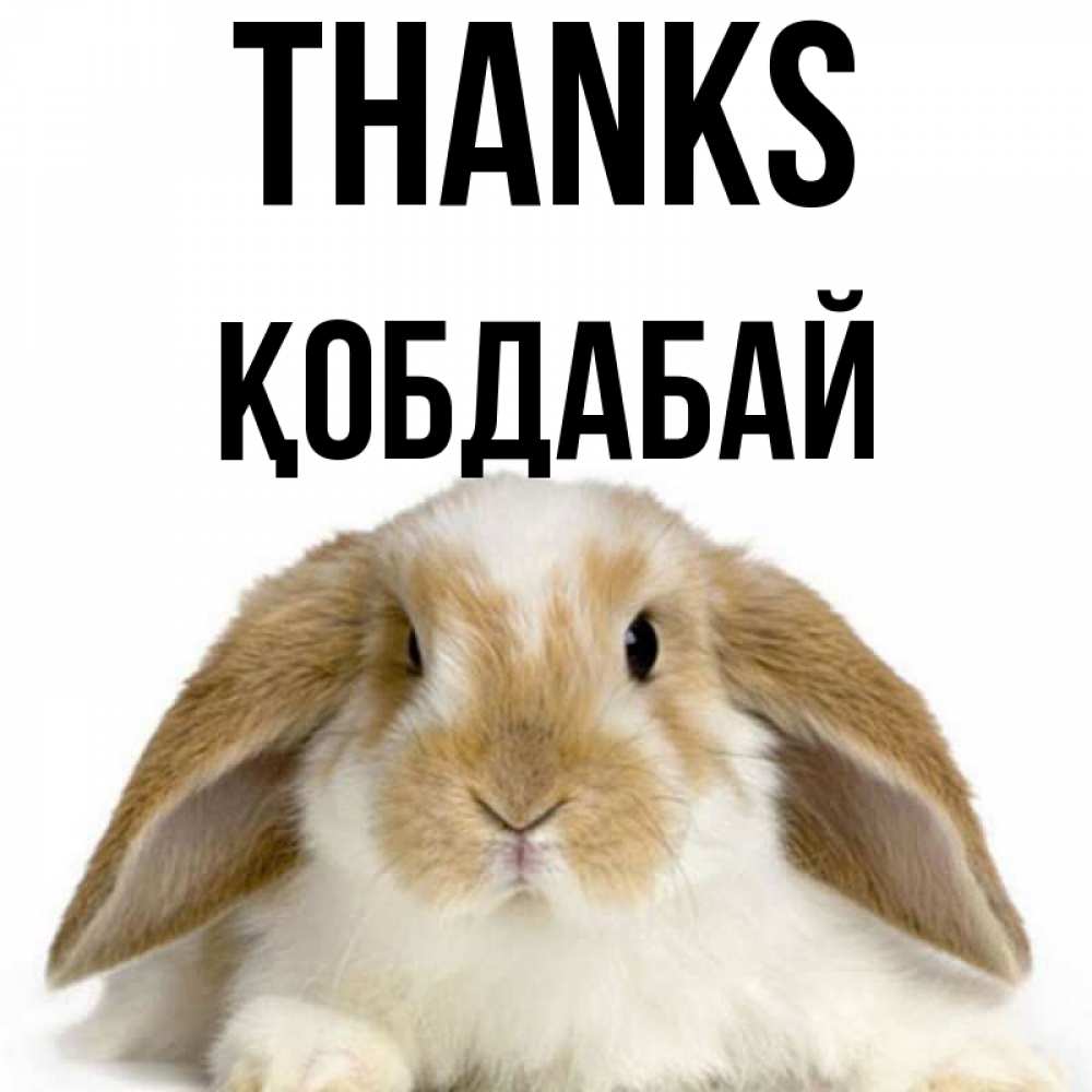 Greetings card с именем, Қобдабай Thanks коричнево белый заяц Greetings with text for free download 
