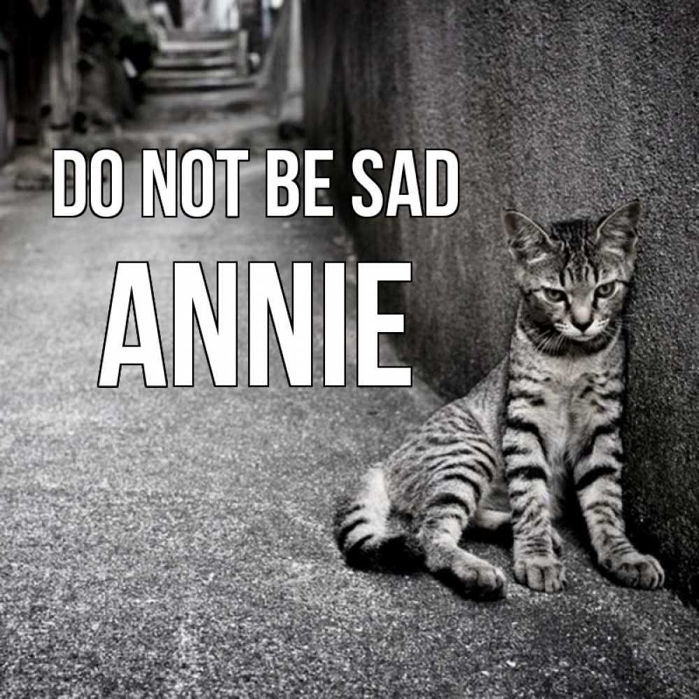Greetings card с именем, Annie Do not be sad скучающий котик Greetings with text for free download 