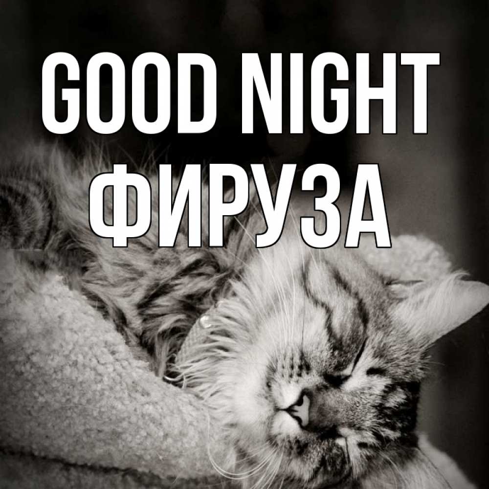 Greetings card с именем, ФИРУЗА Good night котярик пушистый Greetings with text for free download 