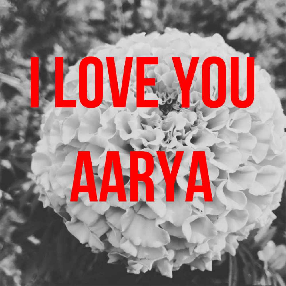 Greetings card с именем, Aarya I love you подпись Greetings with text for free download 