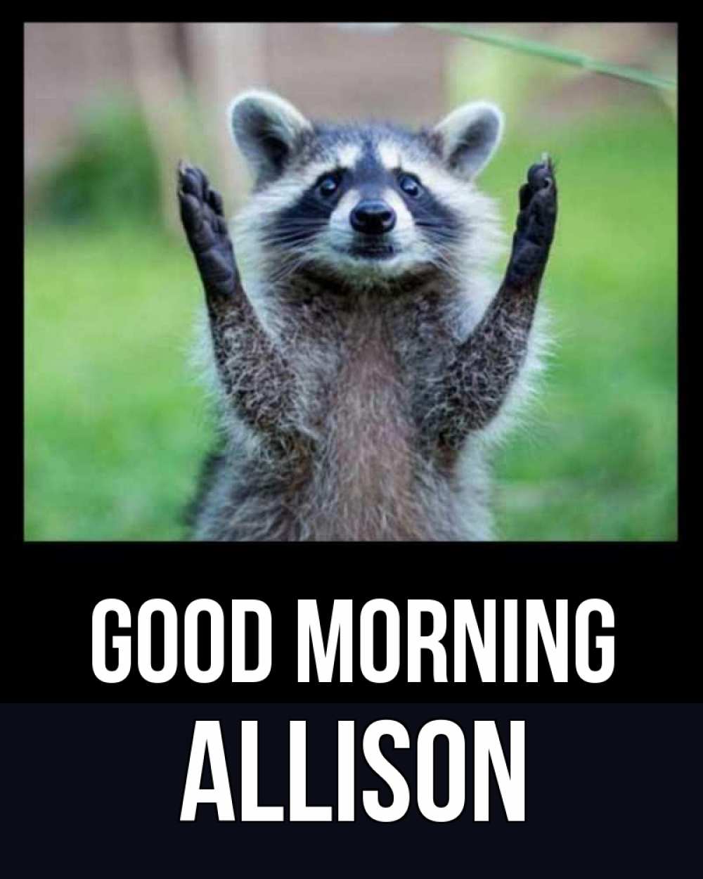 Greetings card с именем, Allison Good morning хорошее настроение утречком Greetings with text for free download 