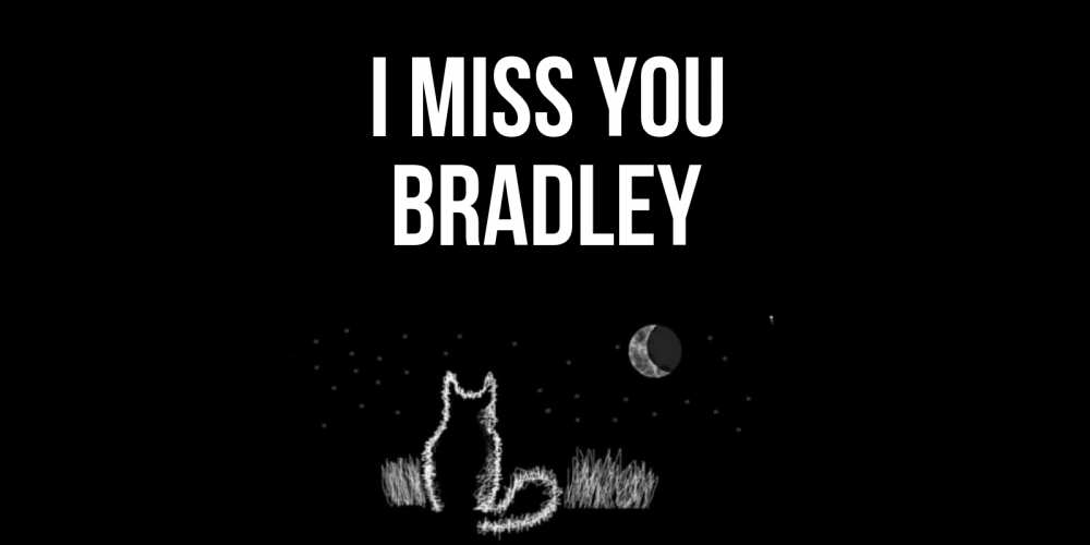 Greetings card с именем, Bradley I miss you кот Greetings with text for free download 