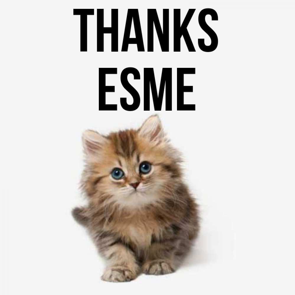 Greetings card с именем, Esme Thanks пушистый котик Greetings with text for free download 