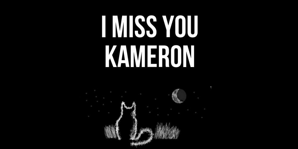 Greetings card с именем, Kameron I miss you кот Greetings with text for free download 