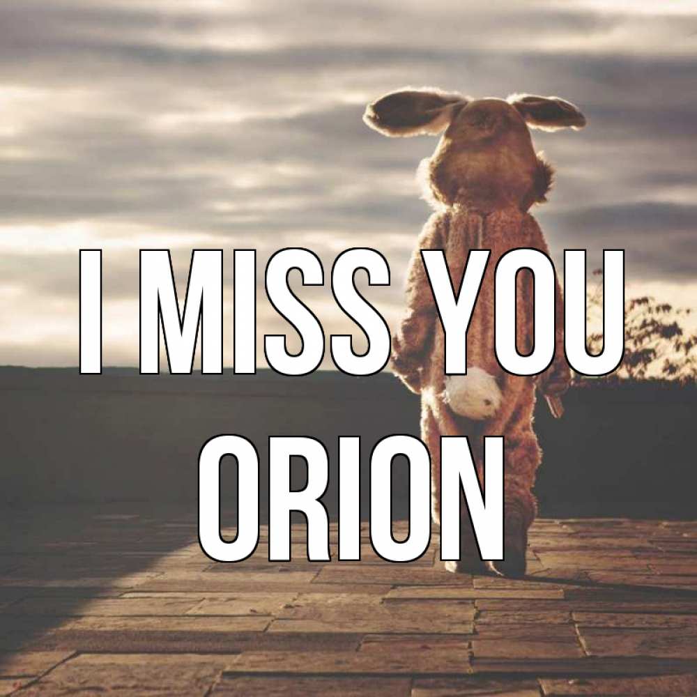 Greetings card с именем, Orion I miss you даже в костюме зайца Greetings with text for free download 