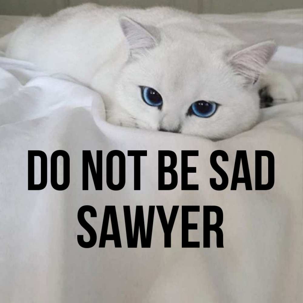 Greetings card с именем, Sawyer Do not be sad Голубоглазая кошка Greetings with text for free download 