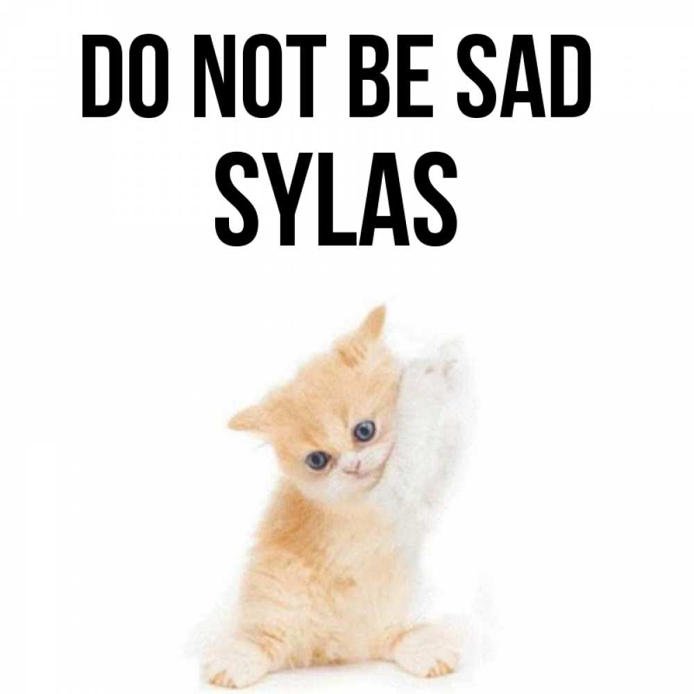 Greetings card с именем, Sylas Do not be sad просящий кот Greetings with text for free download 