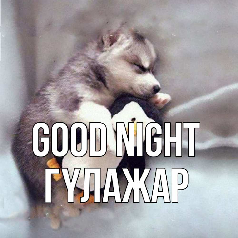 Greetings card с именем, ГҮЛАЖАР Good night обнимашки щенка и пингвина Greetings with text for free download 