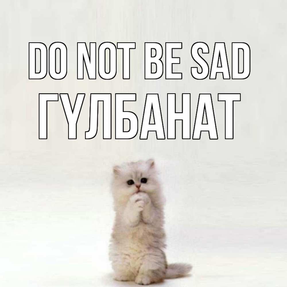 Greetings card с именем, ГҮЛБАНАТ Do not be sad грустный кот Greetings with text for free download 
