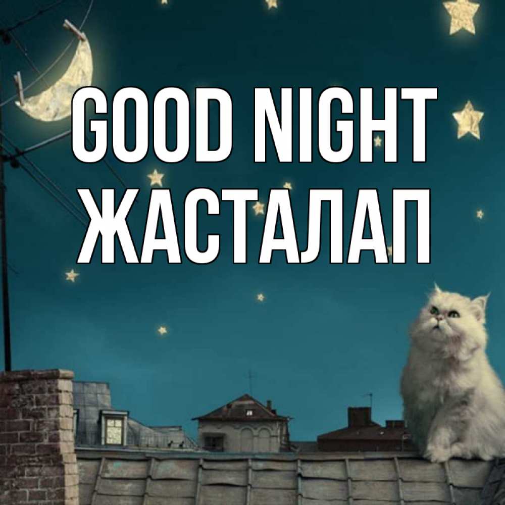 Greetings card с именем, Жасталап Good night белый кот сидит на крыше Greetings with text for free download 