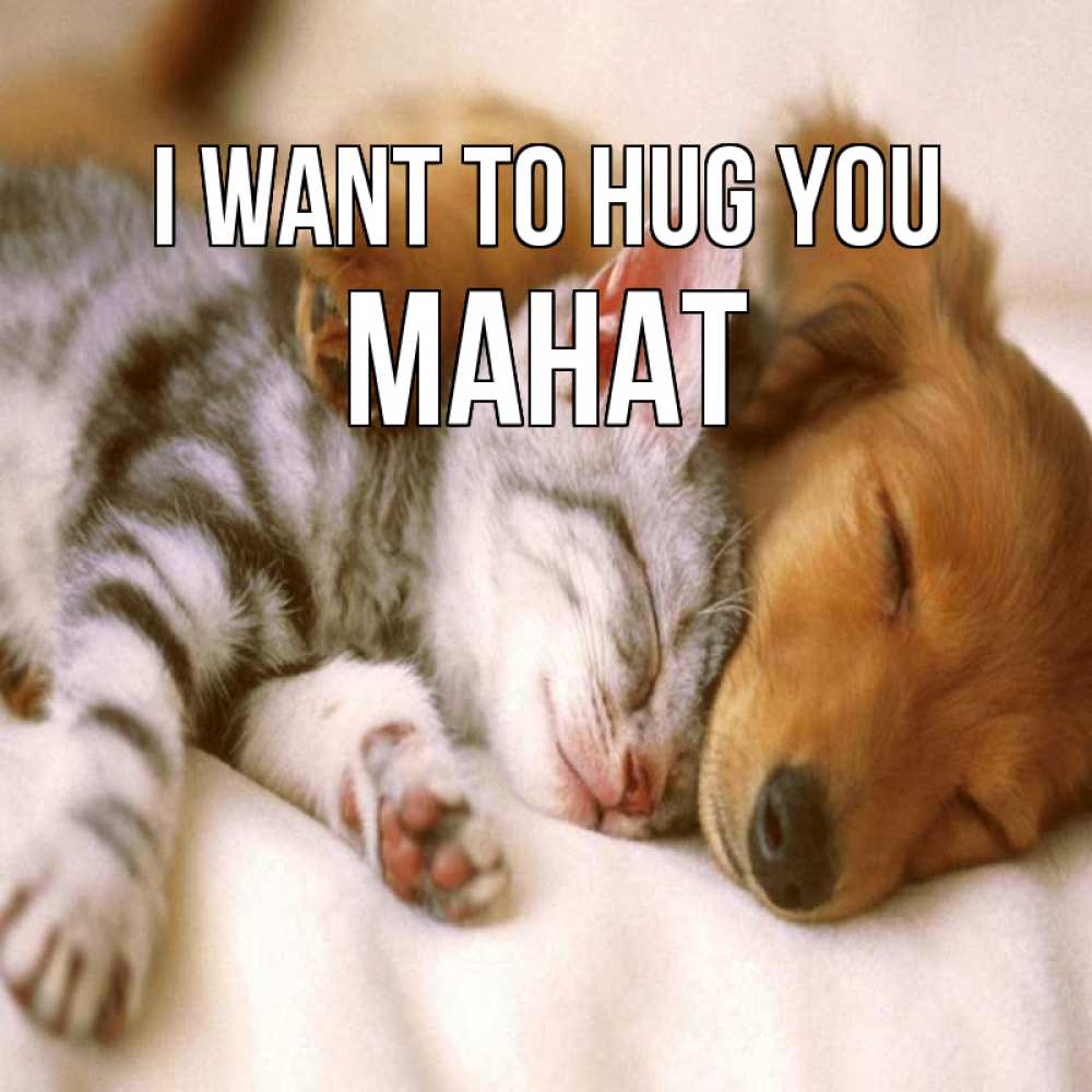 Greetings card с именем, МАНАТ I want to hug you пес и котенок Greetings with text for free download 