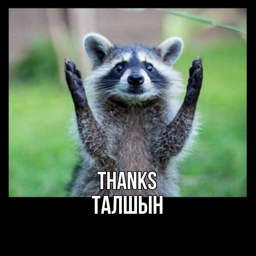 Greetings card с именем, ТАЛШЫН Thanks милые животные Greetings with text for free download 
