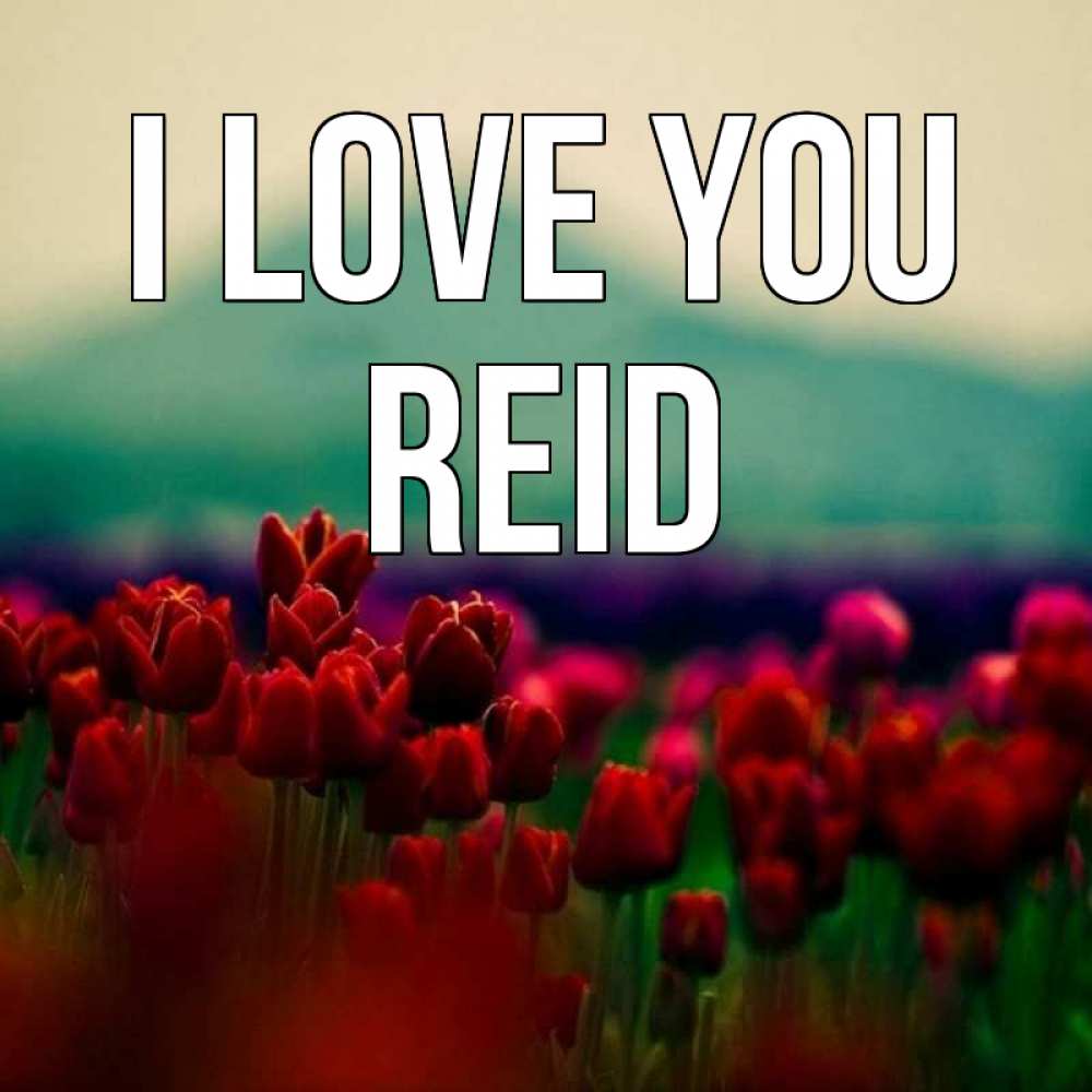Greetings card с именем, Reid I love you тюльпаны 4 Greetings with text for free download 