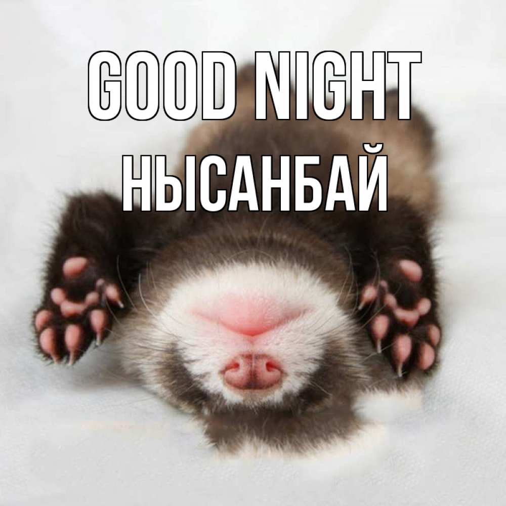 Greetings card с именем, НЫСАНБАЙ Good night зверек Greetings with text for free download 