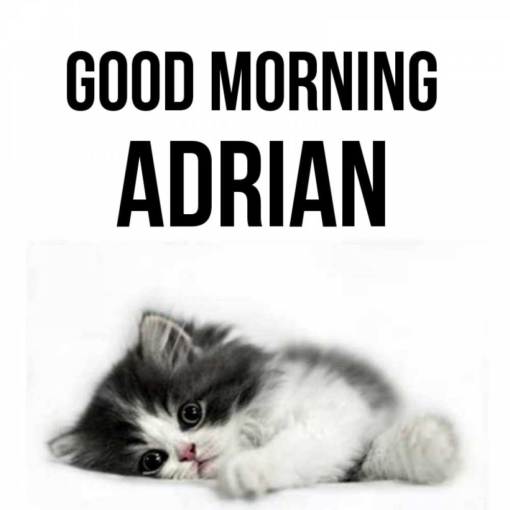 Greetings card с именем, Adrian Good morning кот лапки Greetings with text for free download 