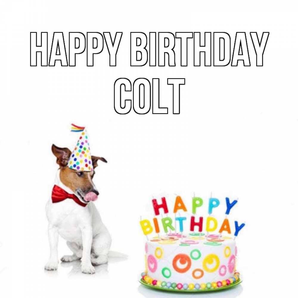 Greetings card с именем, Colt Happy Birthday праздник Greetings with text for free download 