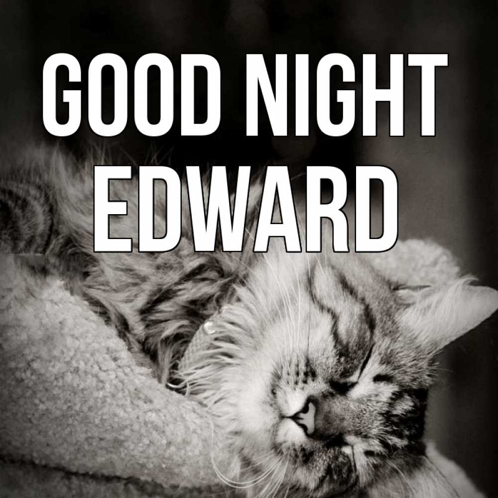 Greetings card с именем, Edward Good night котярик пушистый Greetings with text for free download 